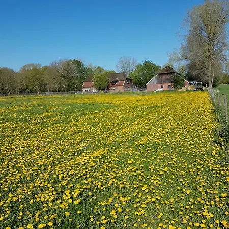 Ferienhof-stoertebeker *